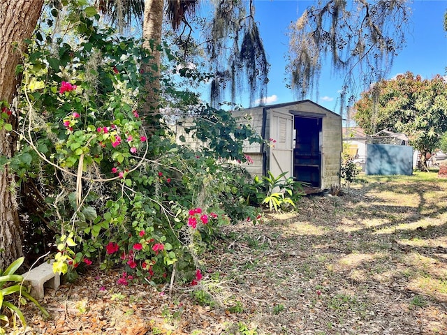 view of yard with a storage shed and an outdoor structure