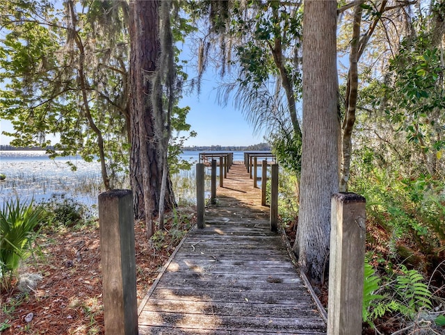 view of dock featuring a water view