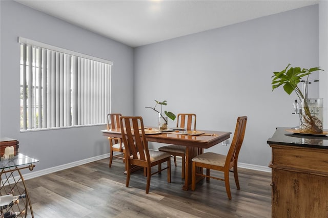 dining room featuring hardwood / wood-style floors