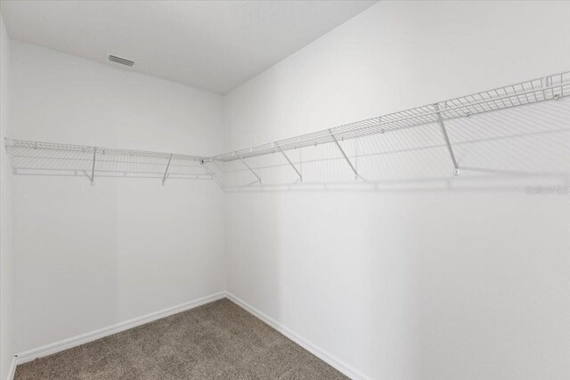 spacious closet with carpet floors