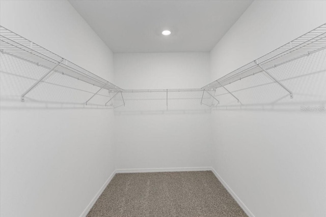 walk in closet featuring carpet floors