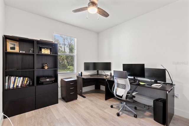 office space with ceiling fan and light hardwood / wood-style flooring