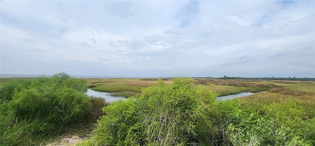 view of local wilderness with a water view