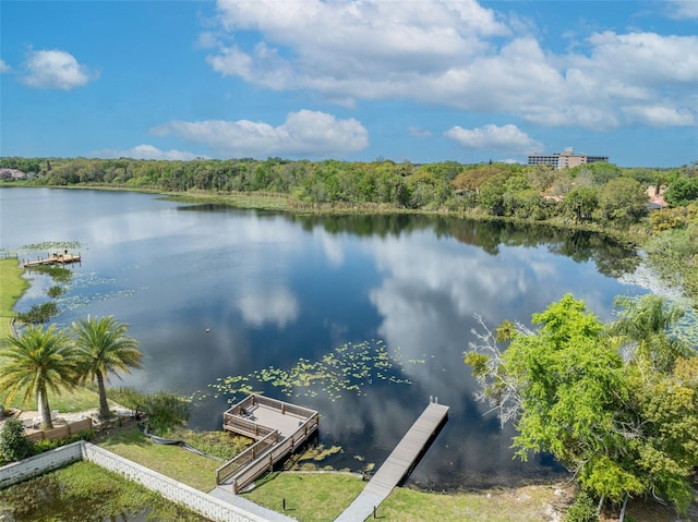 water view with a boat dock