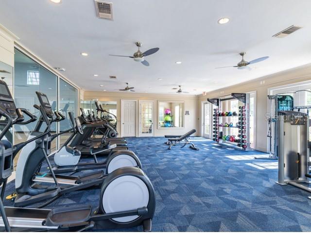 exercise room featuring carpet flooring