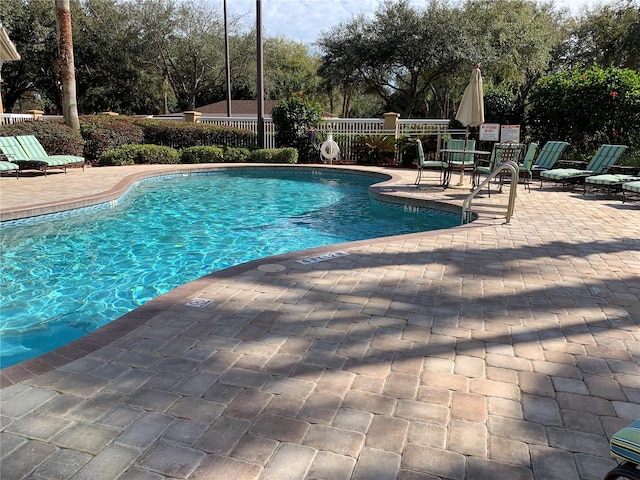 view of swimming pool with a patio