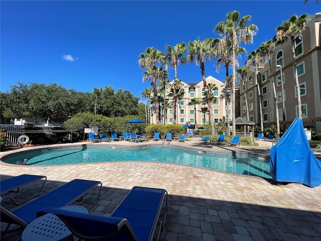 view of swimming pool with a patio