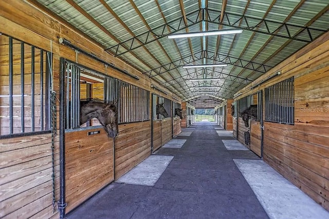 view of horse barn