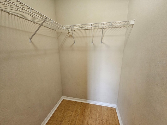 walk in closet featuring hardwood / wood-style floors