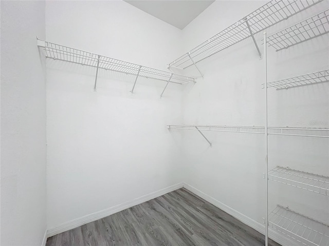 walk in closet with hardwood / wood-style flooring