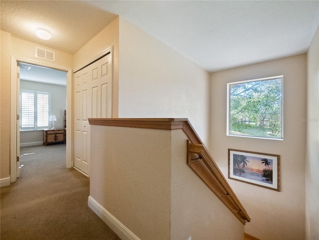 staircase with carpet floors