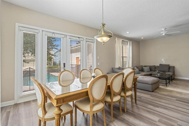 dining area with a textured ceiling, light wood-type flooring, and ceiling fan