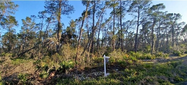 461 Nightingale Ave, Sebring FL, 33872 land for sale