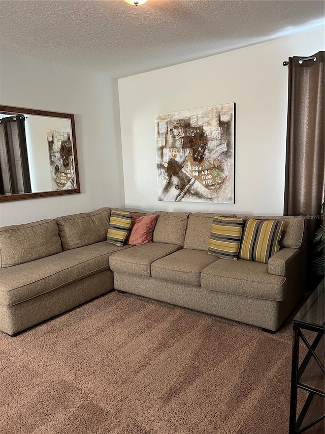 carpeted living room with a textured ceiling