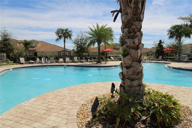 view of pool featuring a patio