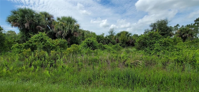 20535 NW 268th St, Okeechobee FL, 34972 land for sale