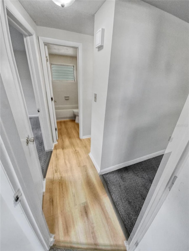 hall featuring light wood-type flooring