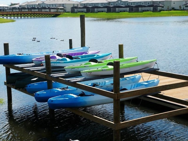 dock area with a water view