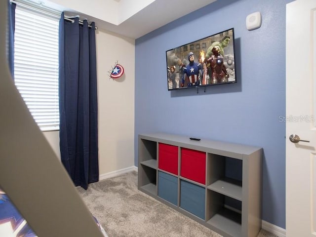 interior space featuring carpet floors