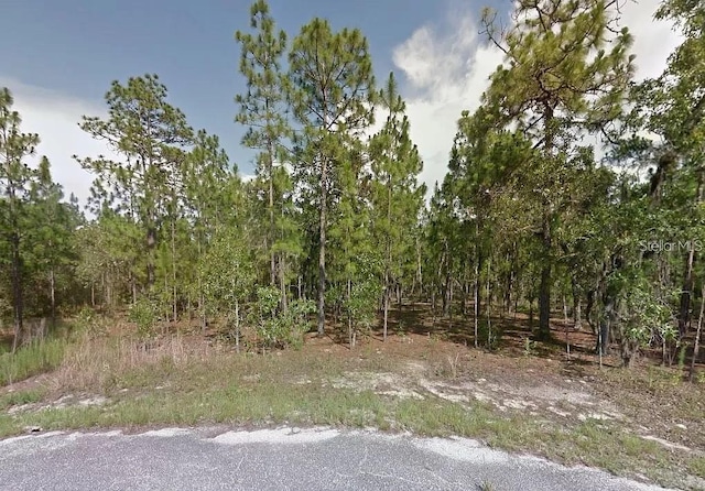 Silver Spgs, Ocala FL, 34480 land for sale