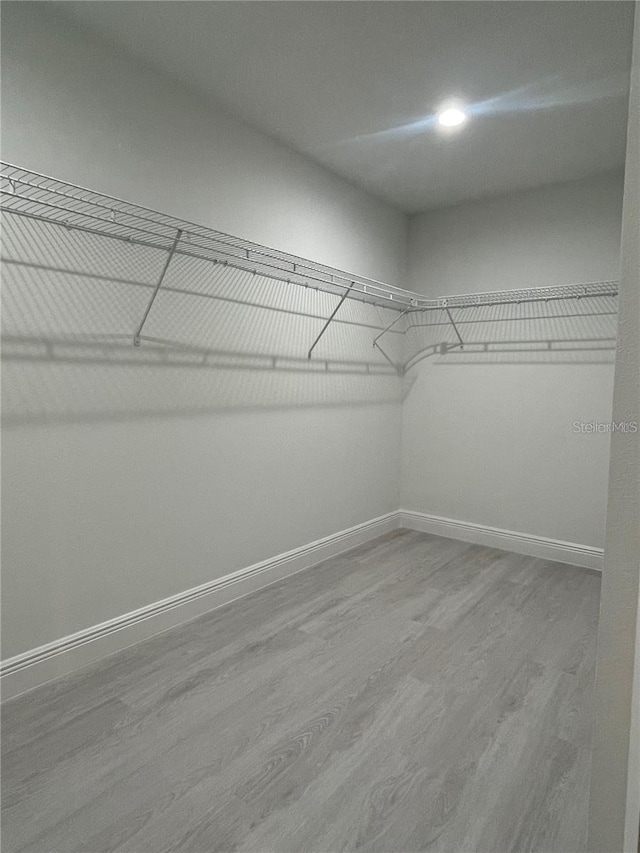 spacious closet featuring light hardwood / wood-style flooring