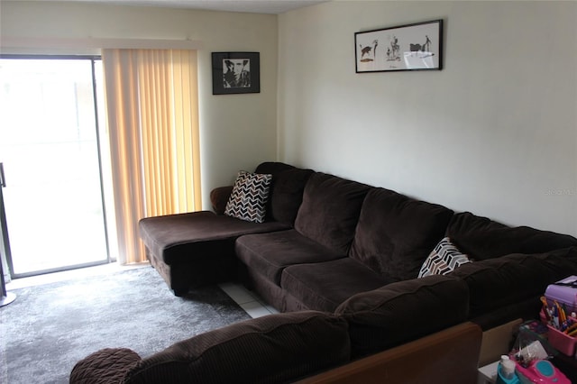 living room featuring carpet