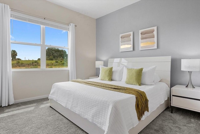 bedroom with dark carpet