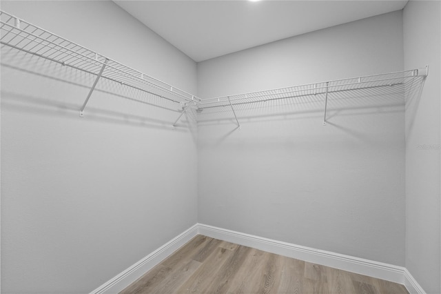 spacious closet with light hardwood / wood-style floors