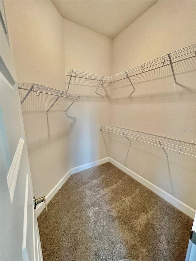 spacious closet with carpet