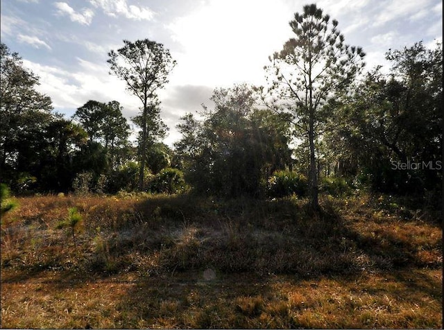 Marsden Ave, North Port, FL 34288 - photo 2