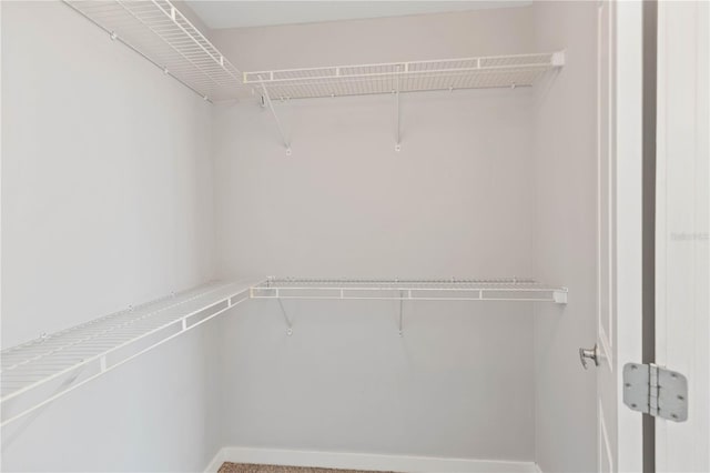 view of spacious closet