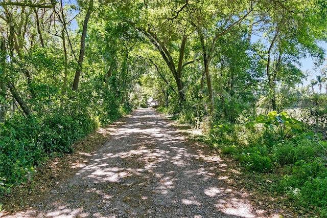 view of road