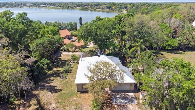 aerial view with a water view and a view of trees