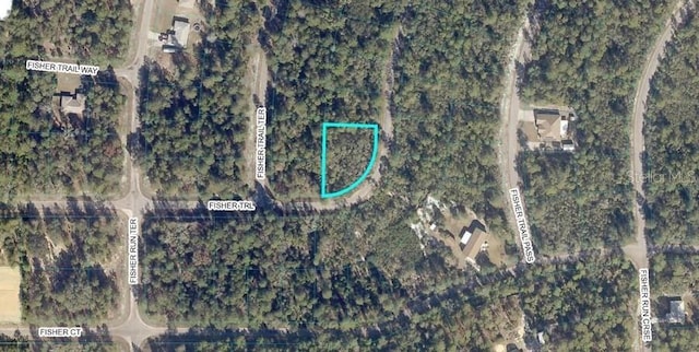 TBD Fisher Trail, Ocklawaha FL, 32179 land for sale