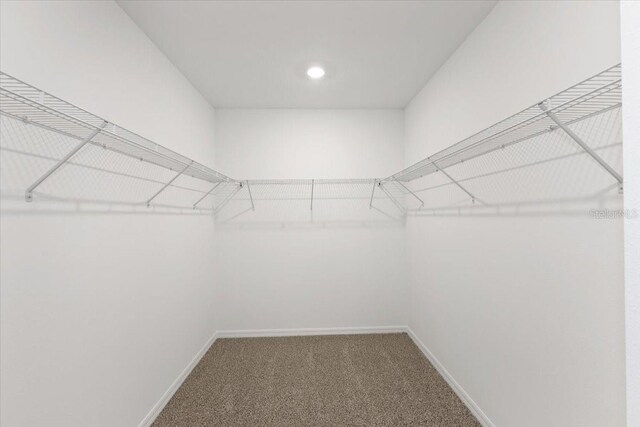 spacious closet with carpet floors