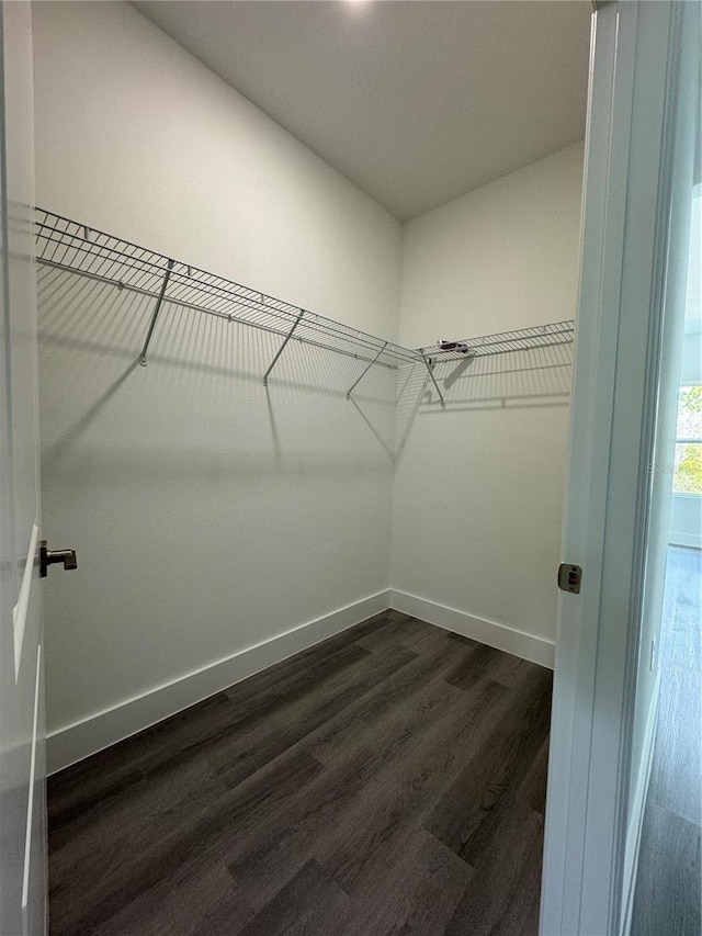 spacious closet with dark wood-type flooring