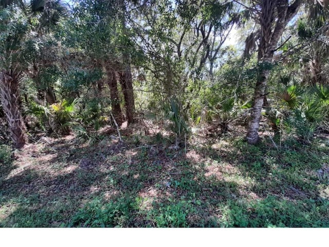 14578 Ingraham Blvd, Port Charlotte FL, 33981 land for sale