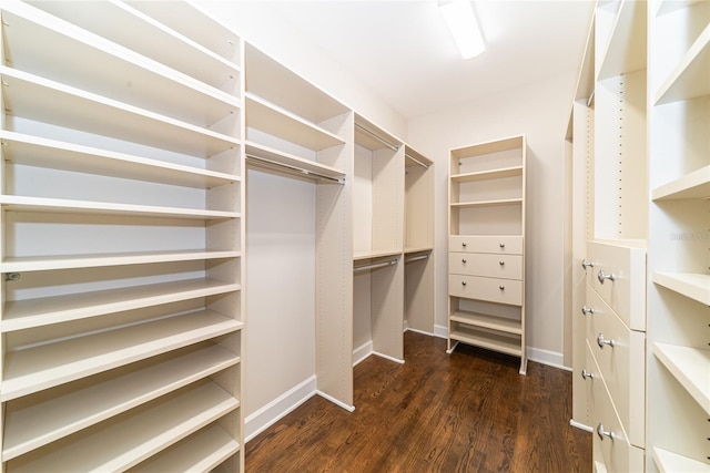 spacious closet featuring dark hardwood / wood-style floors