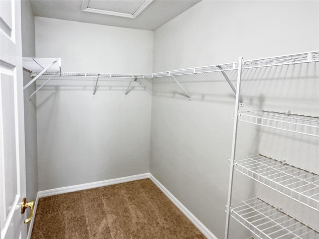 spacious closet with carpet flooring