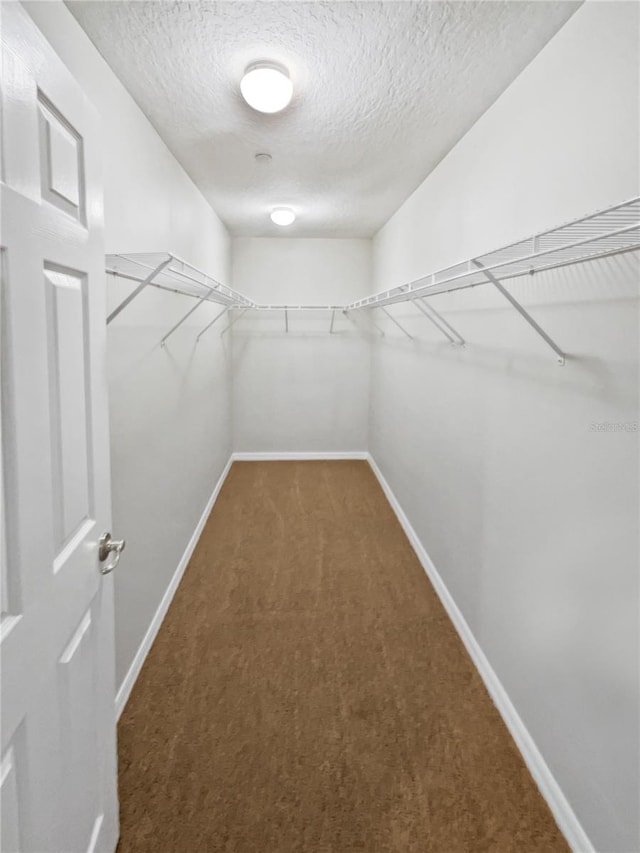 walk in closet featuring carpet floors