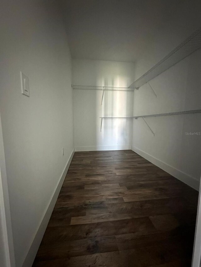 walk in closet featuring dark wood-type flooring