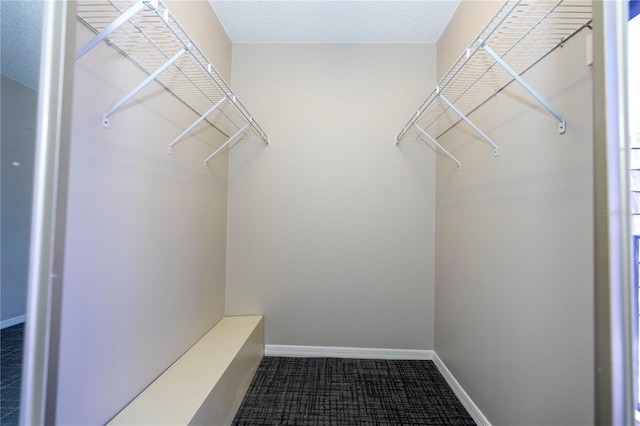 walk in closet featuring carpet flooring