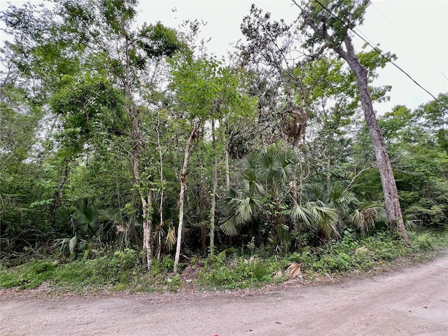 0 Patricia Trl, Kissimmee FL, 34747 land for sale