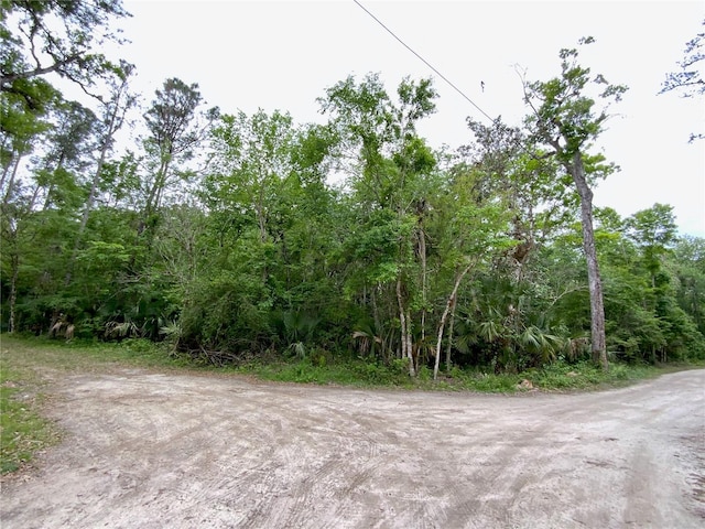 0 Patricia Trl, Kissimmee, FL 34747 - photo 3