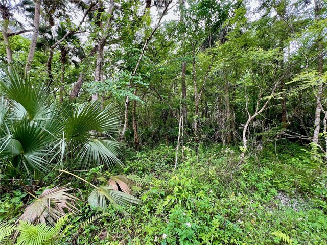 0 Patricia Trl, Kissimmee, FL 34747 - photo 5