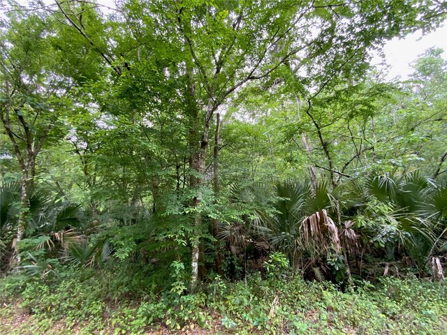 0 Patricia Trl, Kissimmee, FL 34747 - photo 6
