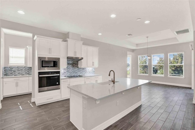 kitchen featuring stainless steel appliances, white cabinetry, backsplash, a tray ceiling, and sink