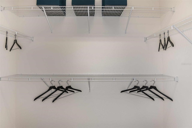 view of spacious closet