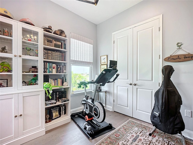 exercise room featuring light hardwood / wood-style floors