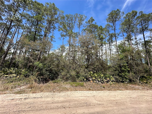 Hudson, Interlachen FL, 32148 land for sale